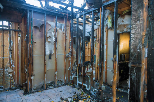 Professional Fire Damage Removal technician working in Paradise, NV